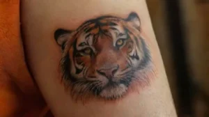 Close-up of detailed tiger tattoo on arm