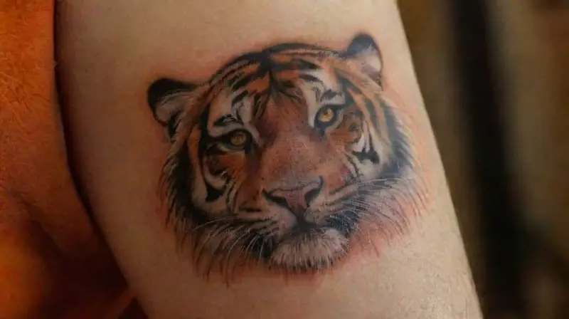 Animal Tattoos and Piercings for Spiritual Significance